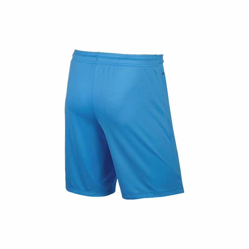 nike youth park ii shorts