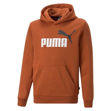 Puma Essential 2 Color Big Logo Hættetrøje Børn 