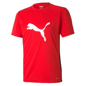 Puma ftblPLAY Logo Trænings T-shirt mænd 656814