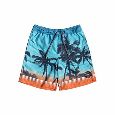 Quiksilver Paradise Volley Youth Badeshorts til børn