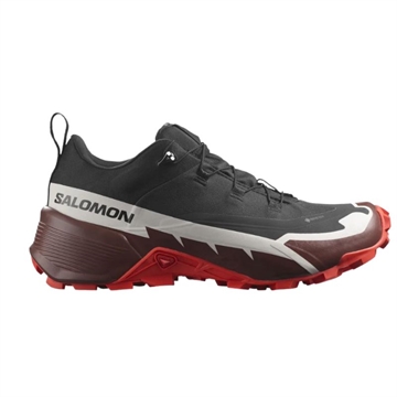 Salomon Coss Hike GTX 2 vandresko til herrer