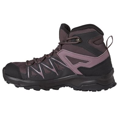 daintree mid gtx