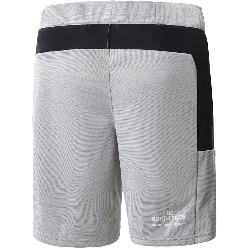 The North Face Mountain Fleece Shorts til herre Sport247.dk