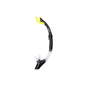 Cruz Great Barrier Reff Snorkel