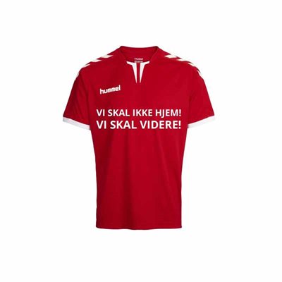 Hummel Jr. Fan Trøje Danmark 