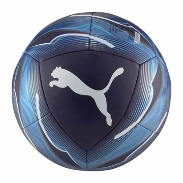 Puma Manchester City FC Icon fodbold