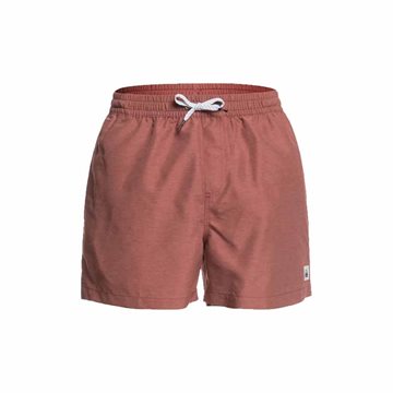 Quiksilver Everyday Volley Badeshorts til mænd 