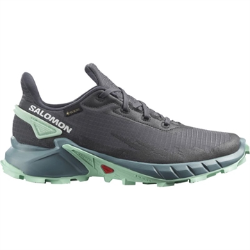 Salomon Alphacross 4 GTX Trail Løbesko til kvinder