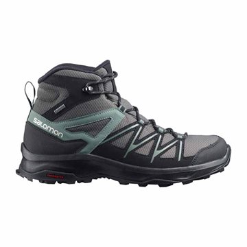 Salomon Daintree Mid GTX Vandrestøvler til mænd 