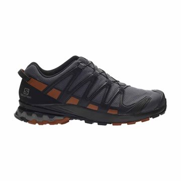 Salomon XA PRO 3D v8 GTX Vandresko til mænd