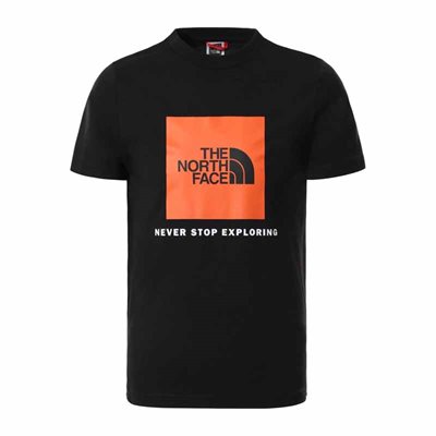 The North Face Box T-shirt til børn 1E3 S 