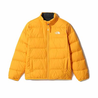 The North Face Andes Reversible Dunjakke til børn 