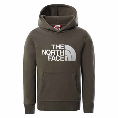 The North Face Drew Peak Hoodie til børn